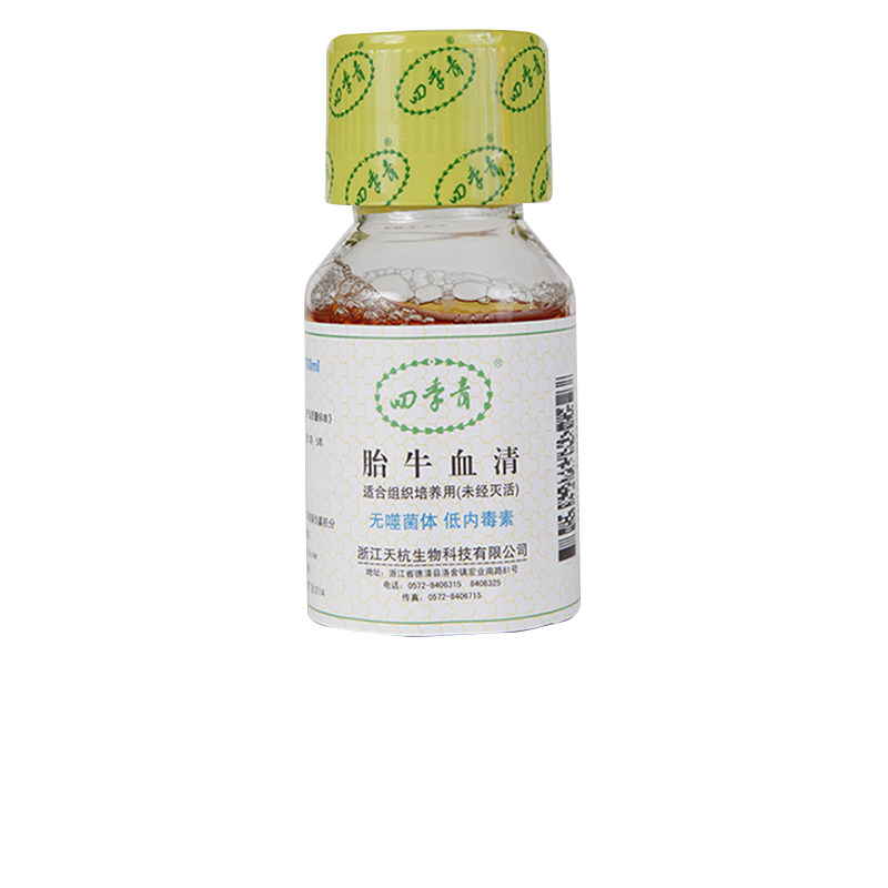 四季青 13011-8611 无噬菌体低内毒素特级胎牛血清 100ml/瓶