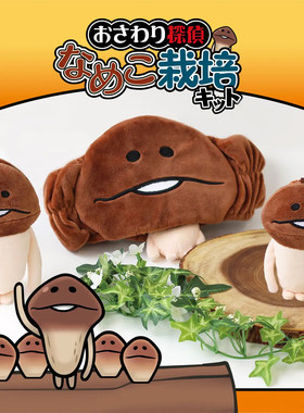 正品日本菇菇栽培研究室周边