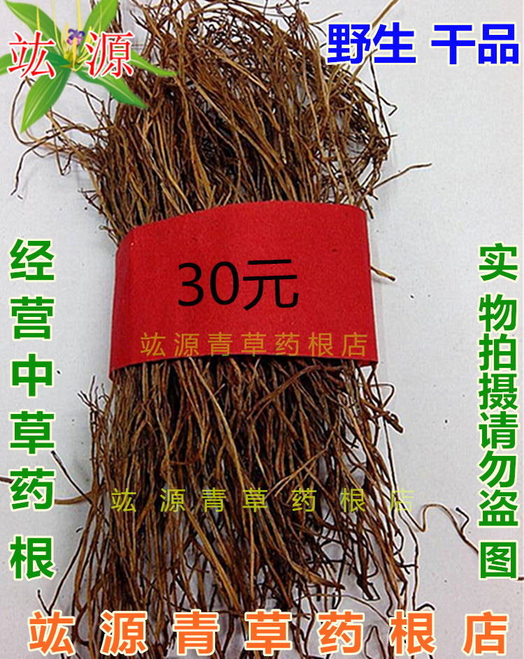 竑源 野生 石刷把 铁刷把 石侧柏  石寄生 松叶兰 石龙须 铁扫帚