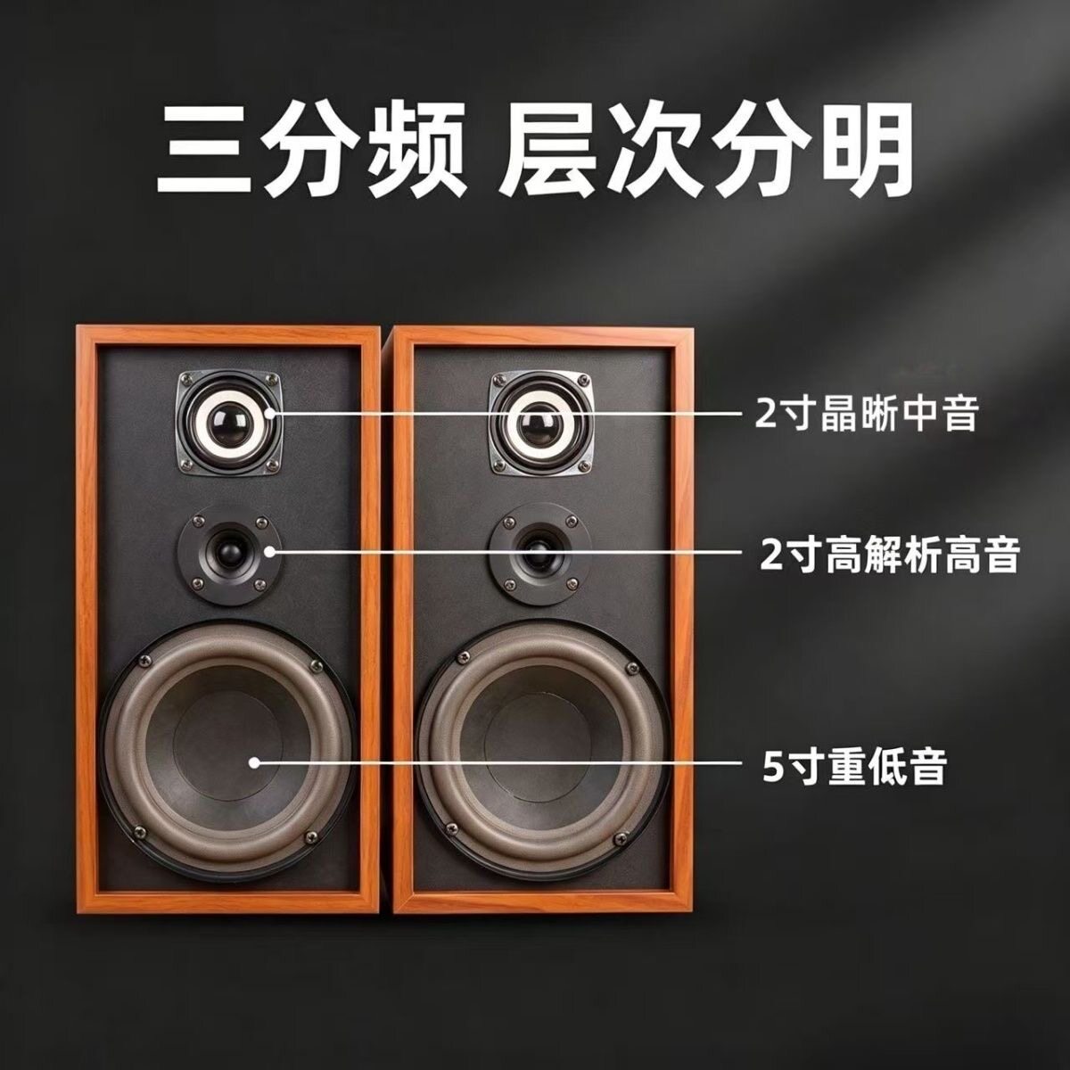 RULANDS声丽美A5 5寸三分频无源HIFI音响音箱发烧音乐影院书架箱