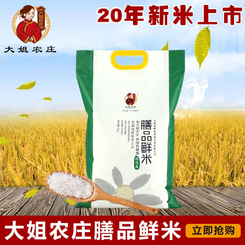 大姐农庄新米辉南大米稻花香粳米10斤包邮5kg/袋