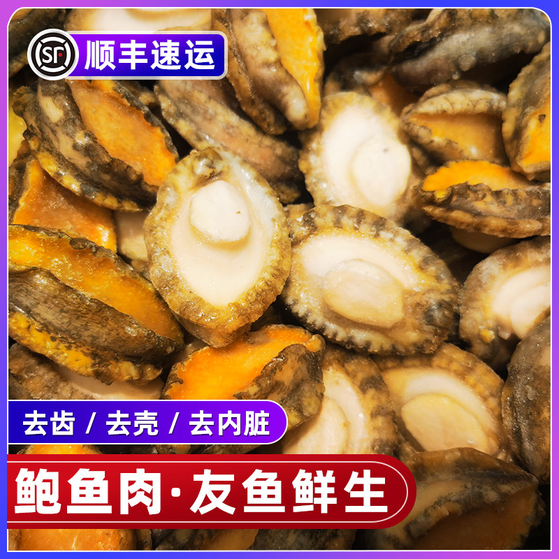 鲍鱼肉新鲜冷冻商用鲜冻冰鲜去壳去齿去内脏佛跳墙优选小鲍鱼肉粒