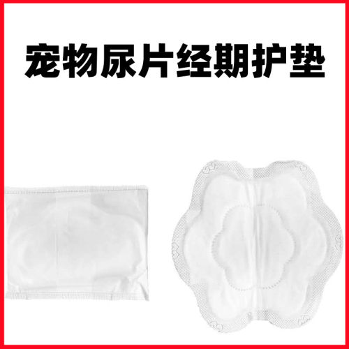 母狗狗泰迪生理期大姨妈金毛护垫