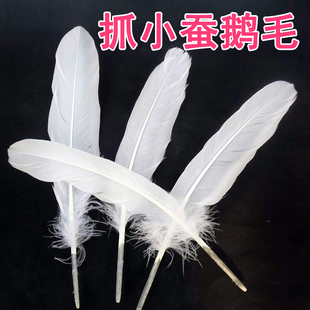 蚕宝宝小蚕蚁蚕羽毛养蚕工具学生养蚕用鹅毛抓蚕扫蚕爬虫蚂蚁用品