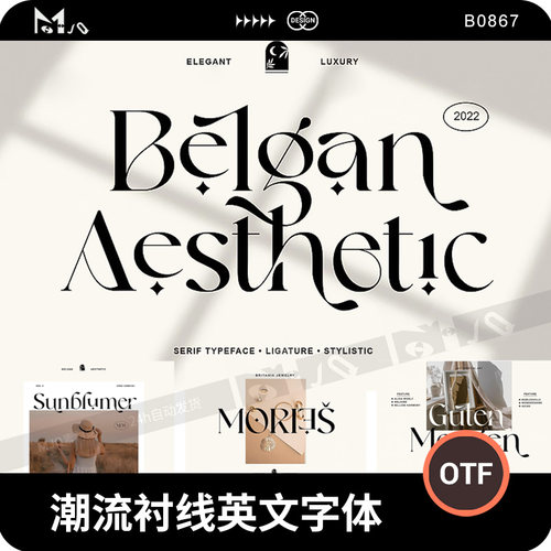 潮流时尚手写衬线优雅复古英文字体OTF字体MJQ素材个性英文字体