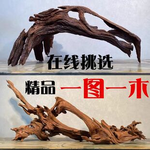 精品沉木水草缸造景沉木鱼缸造景摆件南美缸树桩龟台高端紫柚木