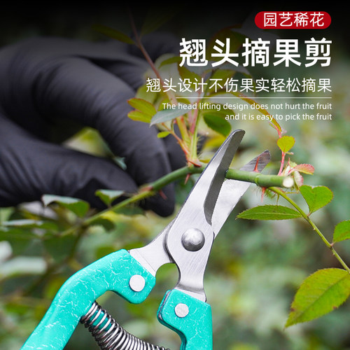 水果剪刀不锈钢翘头厂家直销