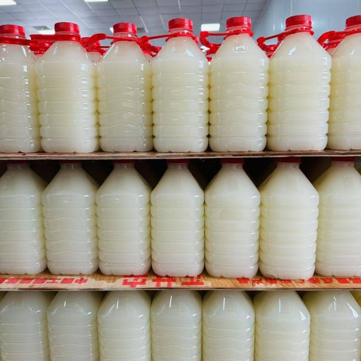 桂花月子米酒农家自酿醪糟产妇哺乳期下奶追奶酒酿无添加甜糯米酒