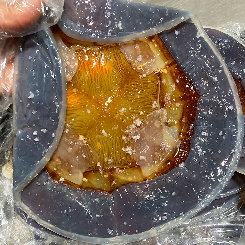舟山新鲜野生海蜇皮整张凉拌菜
