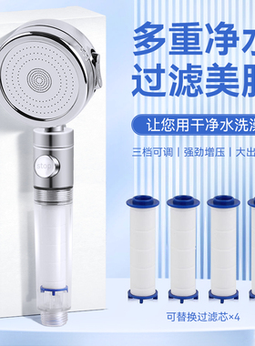 德众C191过滤花洒-4只滤芯