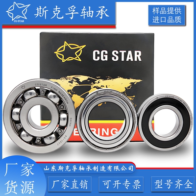 6204 6205 6206 6207 6208 6209 6210ZZ/RS/R Z高速电机轴承