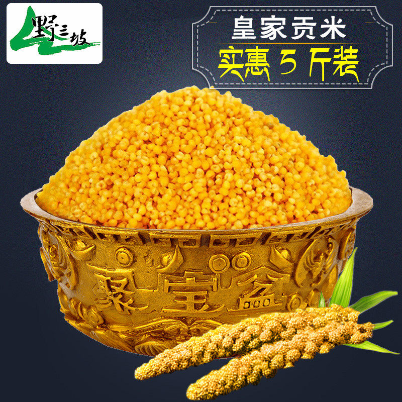 东北黄小米