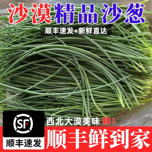 【顺丰包邮】顺丰甘肃民勤新鲜沙葱1/2/3/5斤野菜沙葱直供店批发