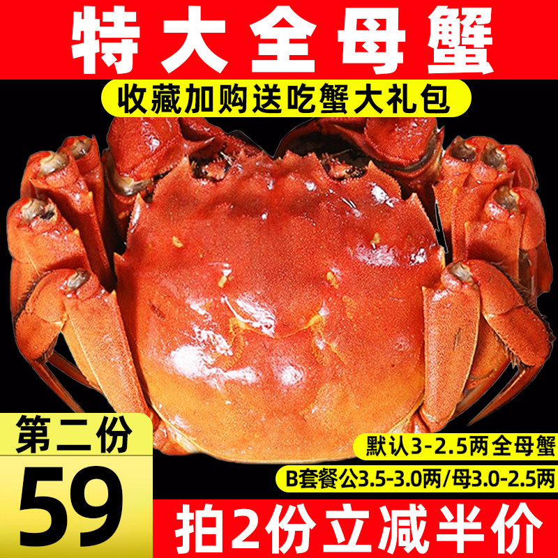 活蟹【第2份半价】全母蟹6只2.5-3两螃蟹苏州鲜活大闸蟹特大现货