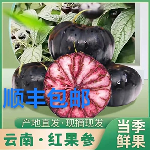 云南马关红果参稀奇水果蜘蛛果送礼新鲜当季特大精品果顺丰包邮