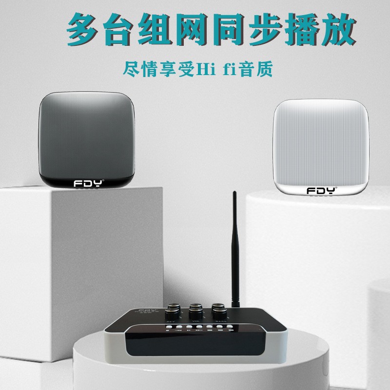 FDY壁挂式无线蓝牙音响店铺专用挂墙会议室音箱吸顶商用多台同步