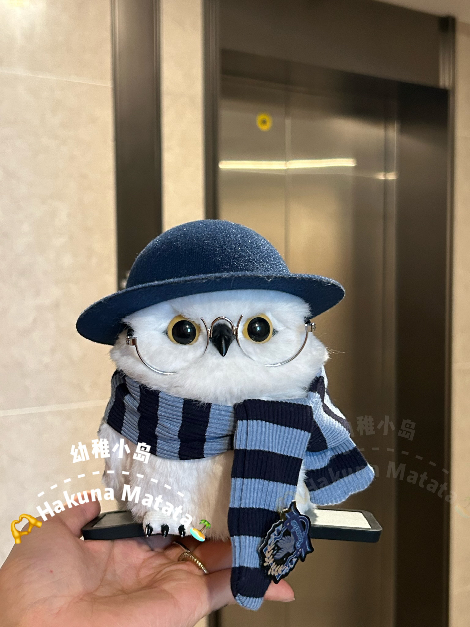 小岛家 哈利波特周边海德薇配饰眼镜环球影城猫头鹰娃衣服帽子