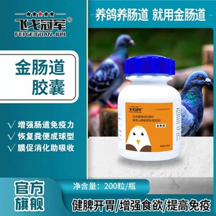 金肠道胶囊飞戈冠军金常道赛鸽沙门活菌酵母水便绿便非鸽子药鸽药