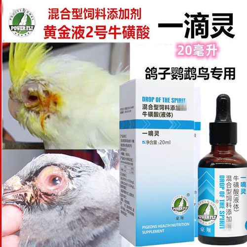 赛鸽格莱德单眼伤风豪翔一滴灵