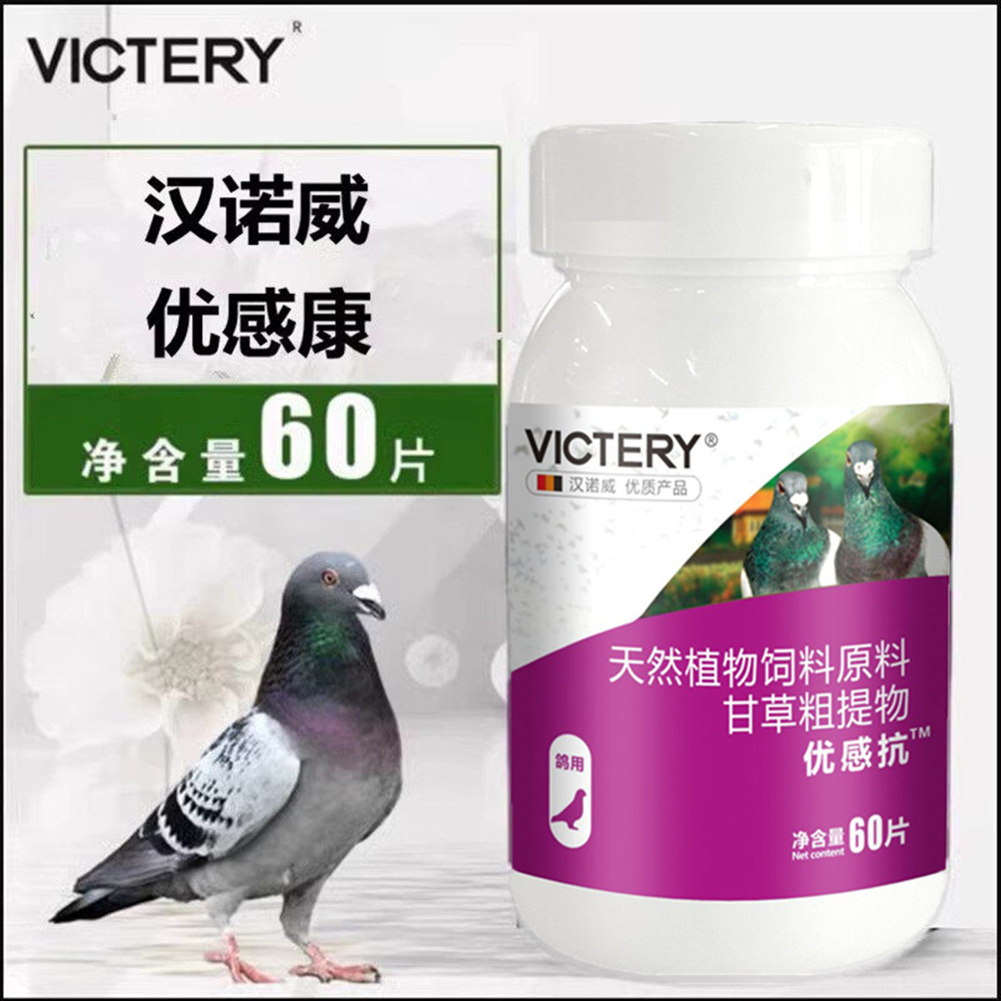 汉诺威优感康赛鸽呼吸衣原非鸽药
