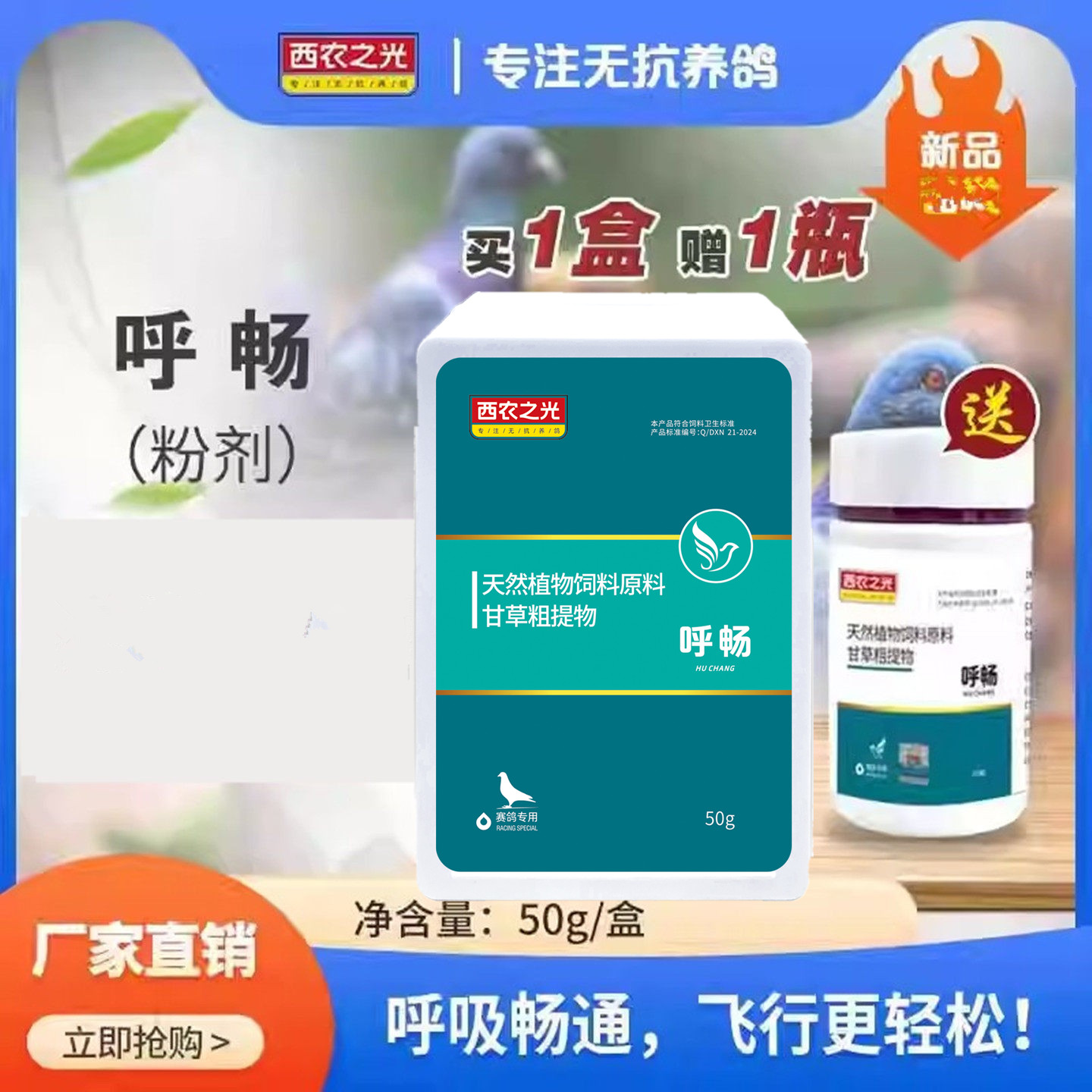 西农之光呼畅赛鸽家飞呼吸道