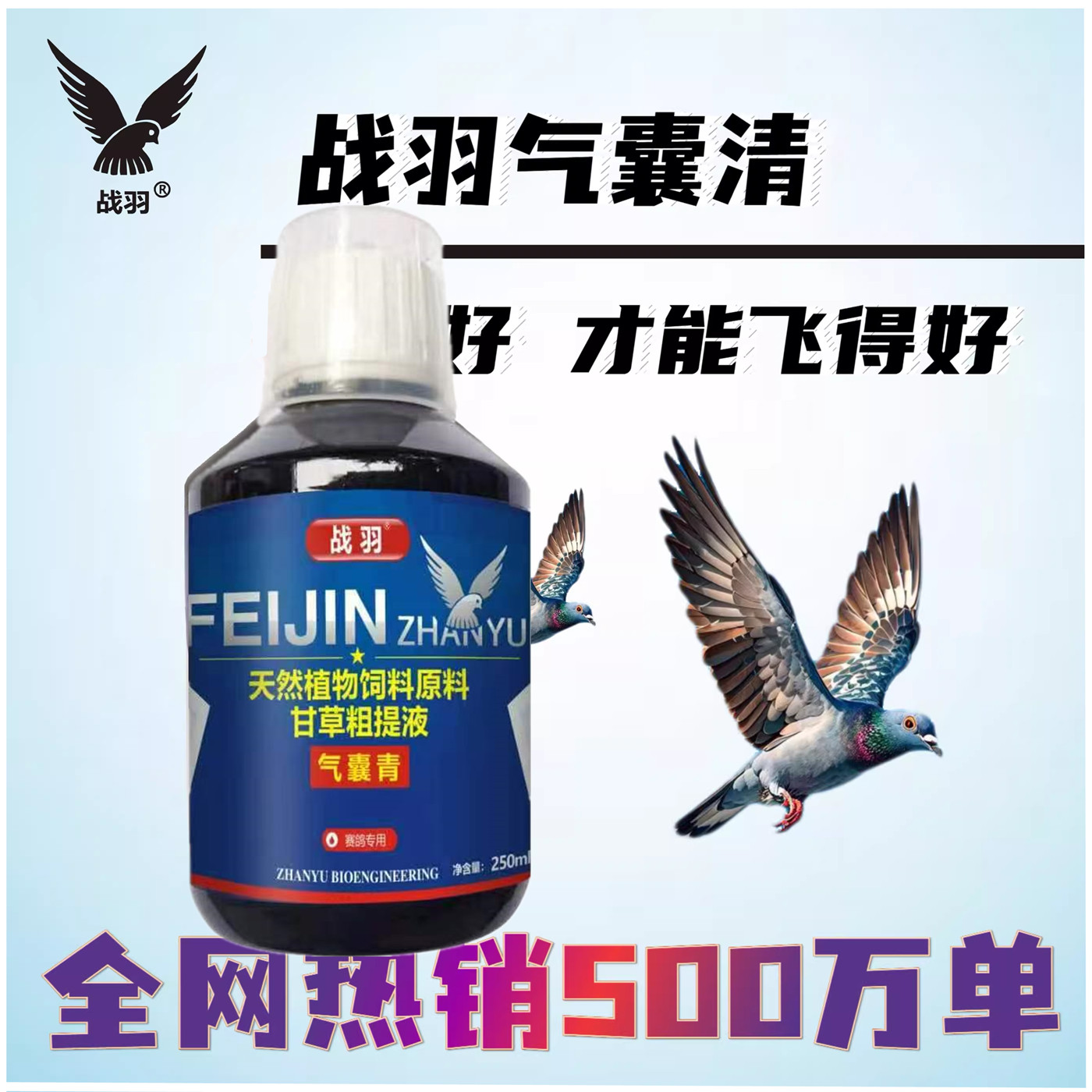 战羽气囊清赛鸽呼吸道比赛家飞