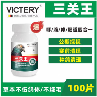 汉诺威关赛王赛鸽毛滴呼吸道球念珠三关多关公棚探视非鸽子药鸽药