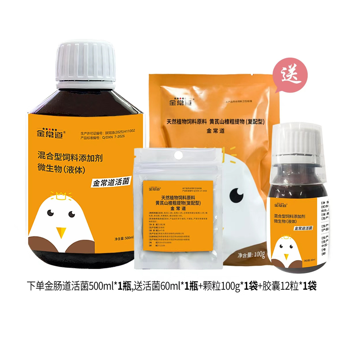 飞戈冠军鸽子药金肠道活菌水便