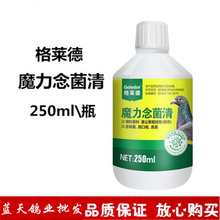 格莱德魔力念菌清信鸽用赛鸽念珠菌真菌口黄白点非鸽药鸽子药大全