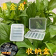 烟嘴配件收纳盒一次性烟嘴小号锁卡塑料盒随身便携式 小药盒
