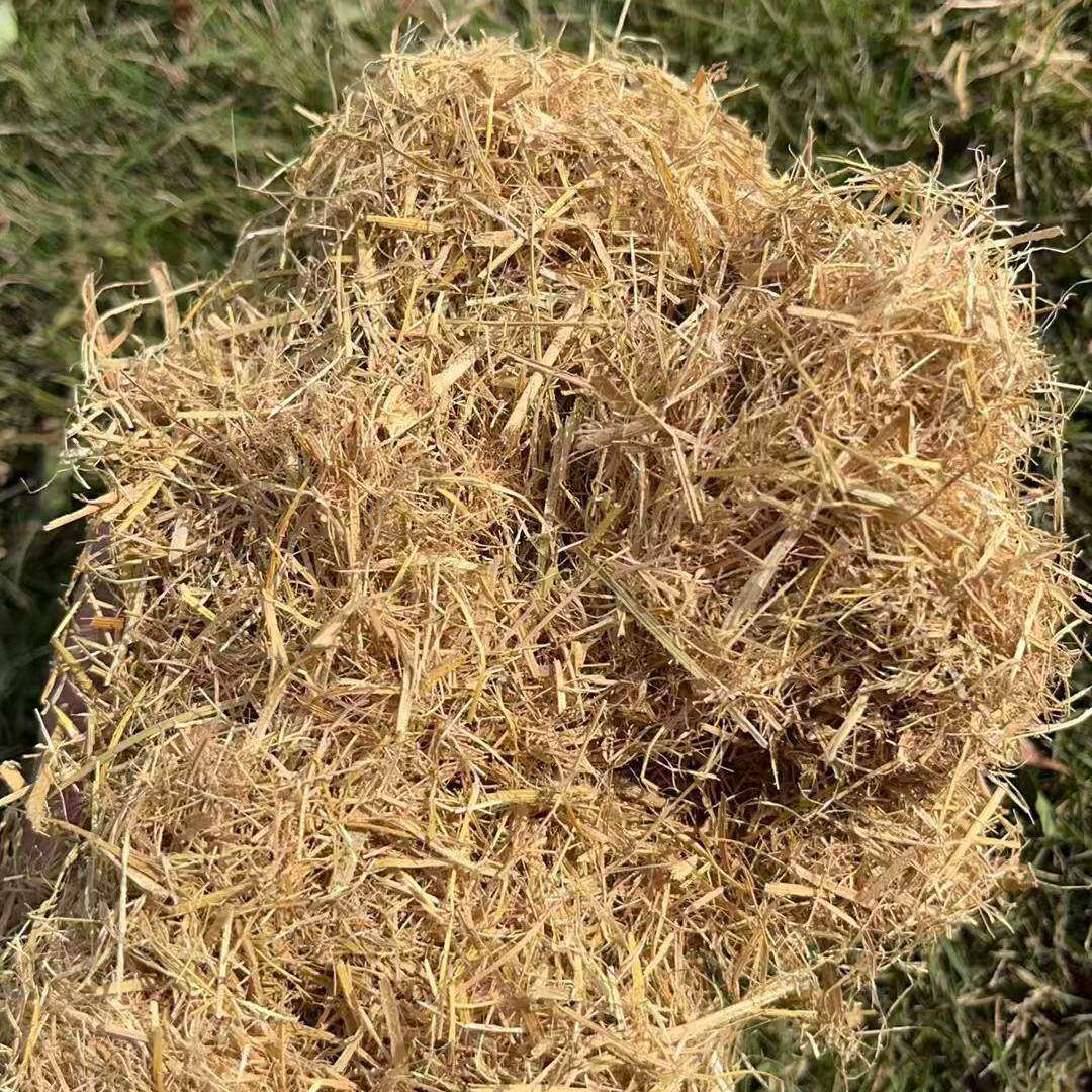 草纤维天然稻草秸秆防护绿化喷播工程古建筑粉墙面草筋硅藻泥装饰