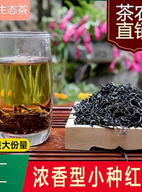 高山古树新茶日照充足松阳