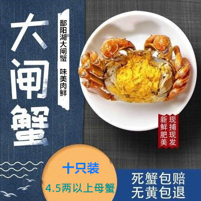江西鄱阳湖®大闸蟹全母鲜活螃蟹大闸蟹