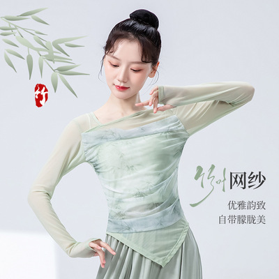 古典舞练功服女新款长袖竹叶修身网纱舞蹈服上衣现代舞成人演出服