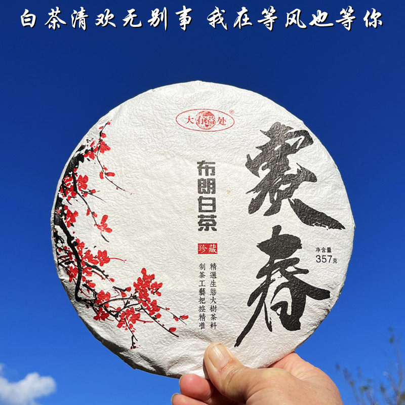 云南布朗山大树月光白老白茶饼图片