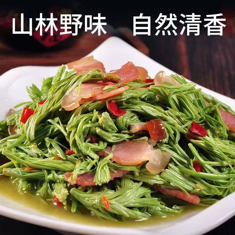 沙松尖云南山林野菜农家特色食材