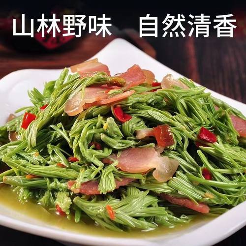 沙松尖云南山林野菜农家特色食材