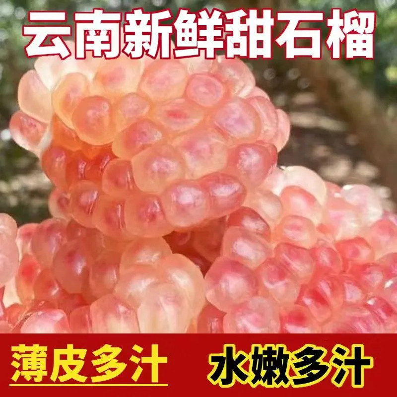 蒙自水晶石榴5斤新鲜水果软薄皮甜石榴大中小果规格可选应季水果