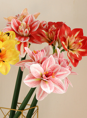 君子兰仿真花PU手感客厅摆设装饰假花朱顶红玉兰花塑料花插配件
