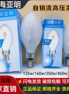 亚明自镇流荧光高压汞灯金卤灯诱虫灯125w160w250w450w质保两年