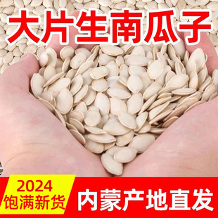 生南瓜子 新货内蒙南瓜籽炒货新鲜带壳生的白瓜子大片散装无漂白