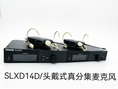 SLXD24D/头戴领夹麦克风一拖二专业数字直播演出无线话筒麦克风