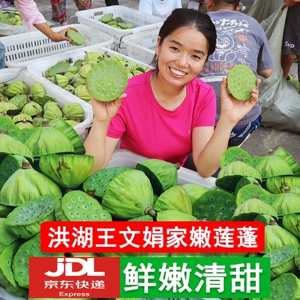 新鲜莲蓬洪湖王文娟现摘嫩莲水果甜莲子带壳莲蓬头即食生吃标快
