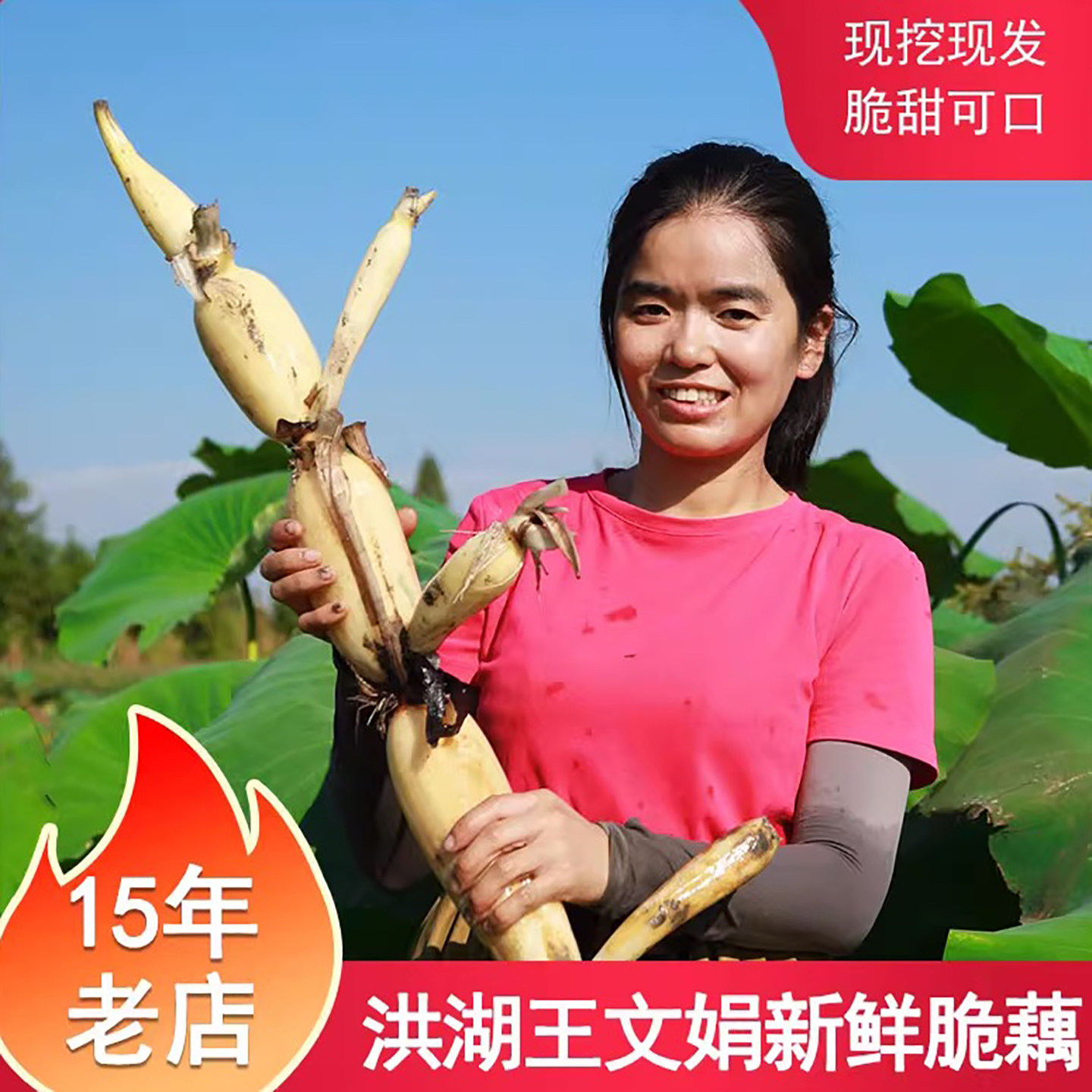 洪湖王文娟莲藕脆甜清炒凉拌好吃