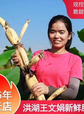 洪湖王文娟莲藕脆甜清炒凉拌好吃
