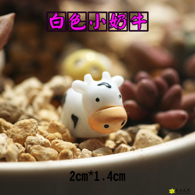 ΢¾°¹Û¶àÈâÖ²Îï̦޺΢¾°¹ÛСÄÌÅ£°Ú¼þÊÖ¹¤Diy²ÄÁÏ¿¨Í¨¶¯ÂþÓÎÏ·