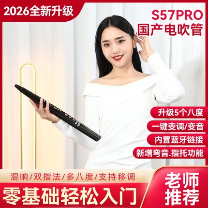 电吹管中老年人初学者入门国产电子萨克斯笛子唢呐二胡学生长笛