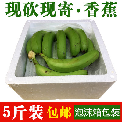 包邮广东高州香蕉水果新鲜banana无催熟剂非米蕉粉蕉海南芭蕉5斤