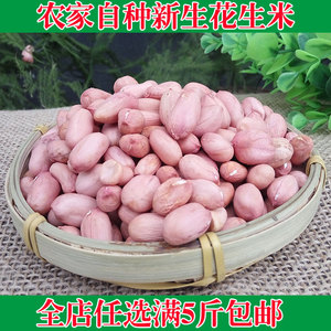 生花生米新货农家自产原味手剥大粒花生仁新鲜榨油出油高山东特产