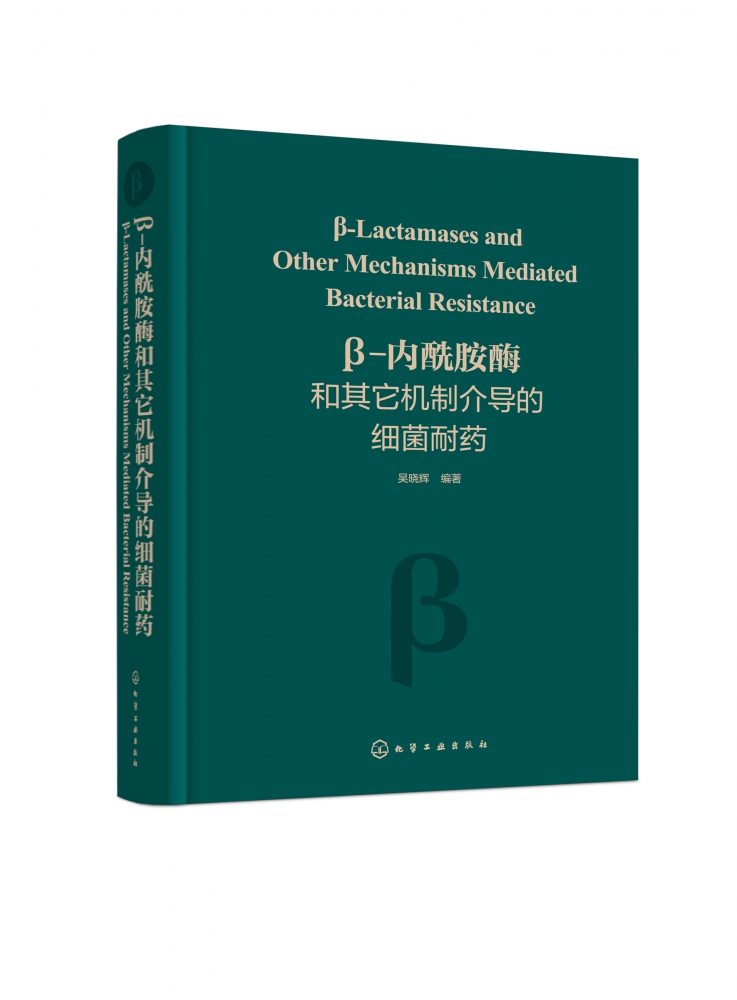 β-内酰胺酶和其它机制介导的细菌耐药(精)